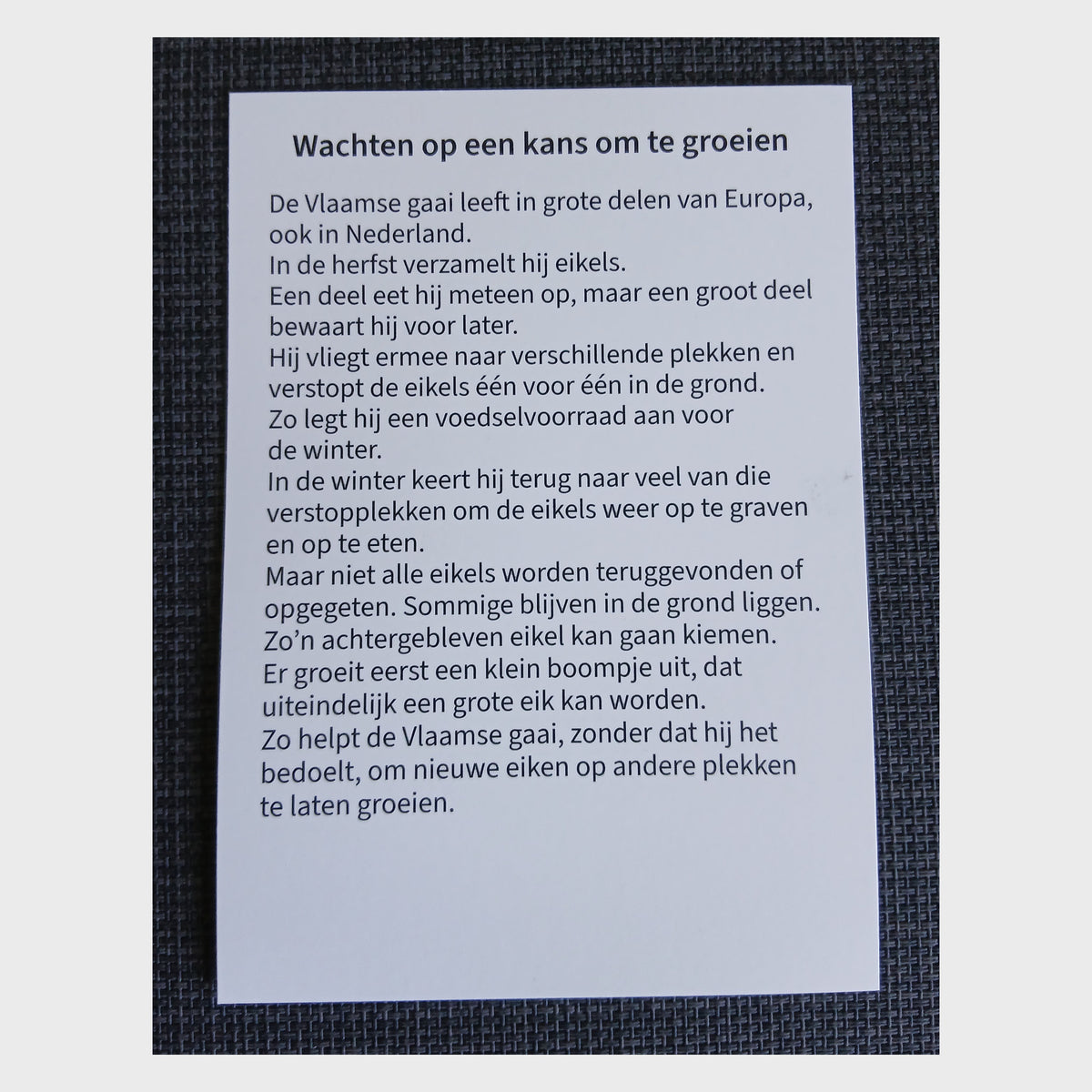 Set van 40 geïllustreerde wachtkamerkaarten met korte natuurverhalen over wachten.
Geschikt voor inrichting wachtkamer of wachtruimte.